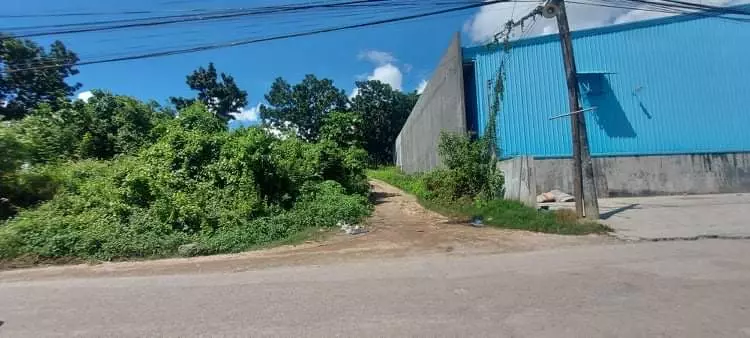 INDUSTRIAL LOT FOR SALE - TAYUD, CONSOLACION - photo 5