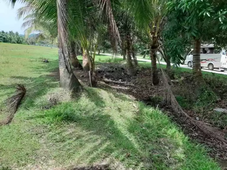 LOT FOR SALE IN TAWIN-TAWIN, GENERAL LUNA, SIARGAO ISLANDS — Agricultural Lot in Surigao del Norte, Philippines — Photo 3