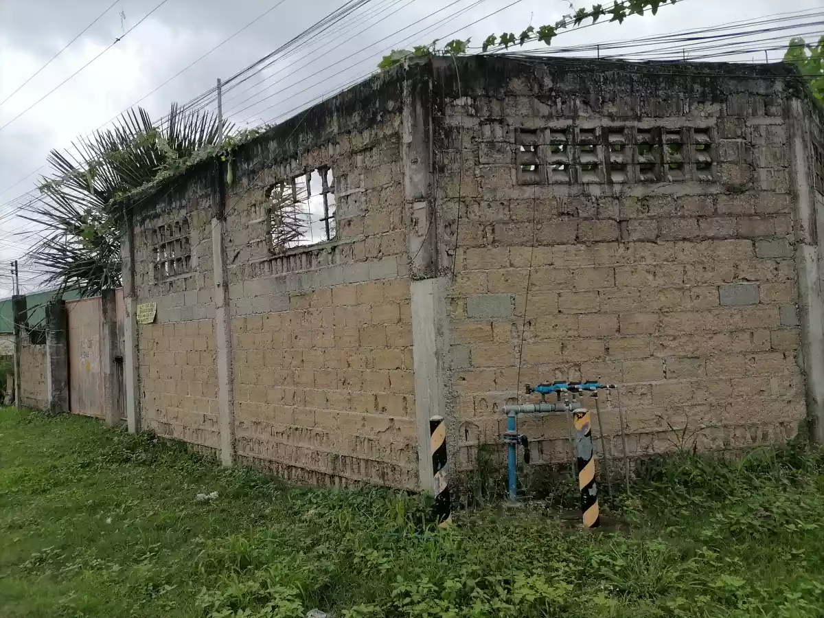 Residential /Agricultural land for sale — Agricultural Lot in Cebu, Philippines — Photo 5