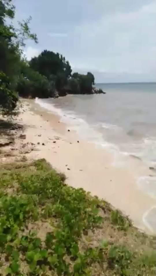 white sand beach lot for sale - photo 6