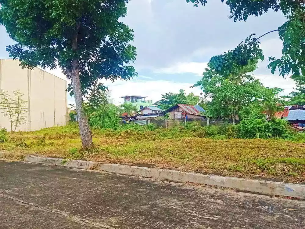 Lot for sale inside subdivision in Golden Meadows, Cordova, Cebu — Residential Lot in Cordova, Cebu, Philippines — Photo 4