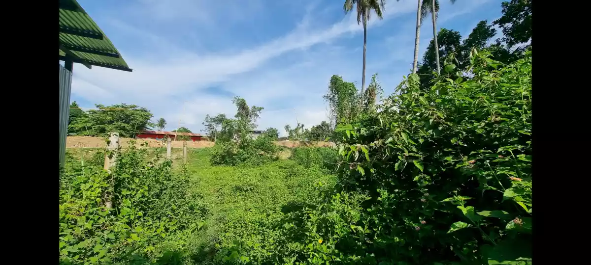 833 sqm Titled Commercial / Industrial Lot for Sale near Diversion road, Bulua, CDO - photo 2