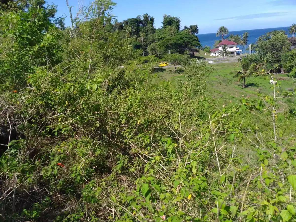 Original Certificate of Title  - photo 3