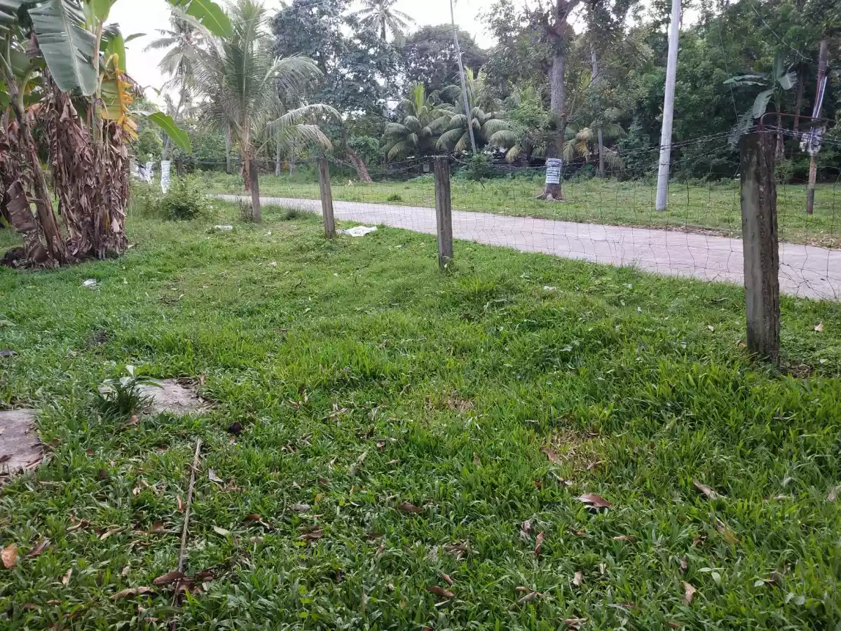 LOT FOR SALE - photo 5