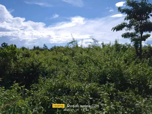 COMMERCIAL LOT FOR SALE — Commercial Lot in Lapu-Lapu City, Cebu, Philippines — Photo 6