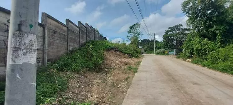 INDUSTRIAL LOT FOR SALE - TAYUD, LILOAN - photo 3
