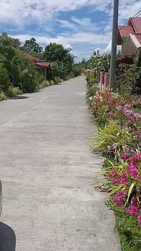 Residential Lot for sale — Residential Lot in Cebu, Philippines — Photo 3