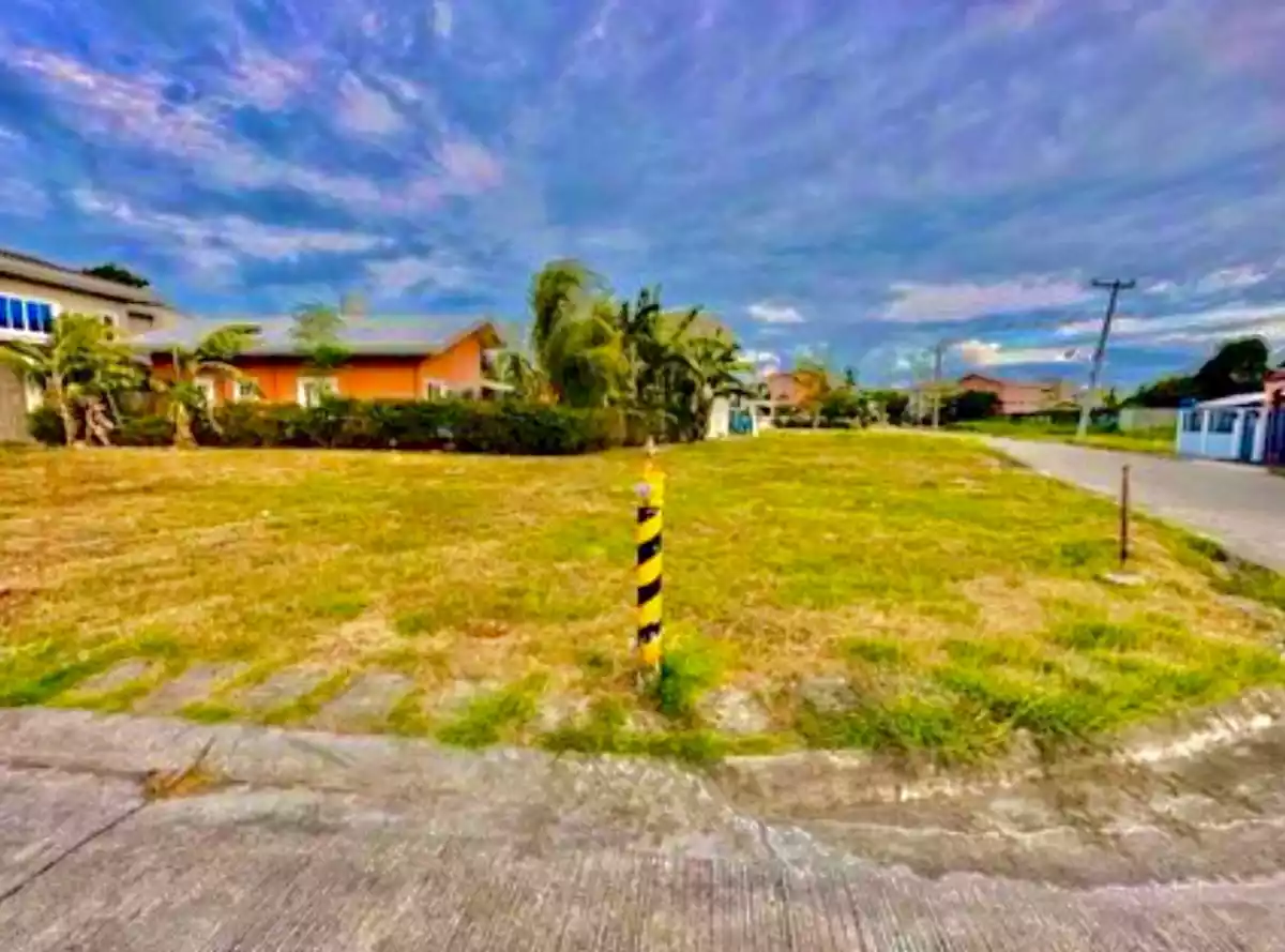 Corner Subdivision Lot for Sale in Cordova — Residential Lot in Barangay Alegria Road, Cordova, Cebu — Photo 3