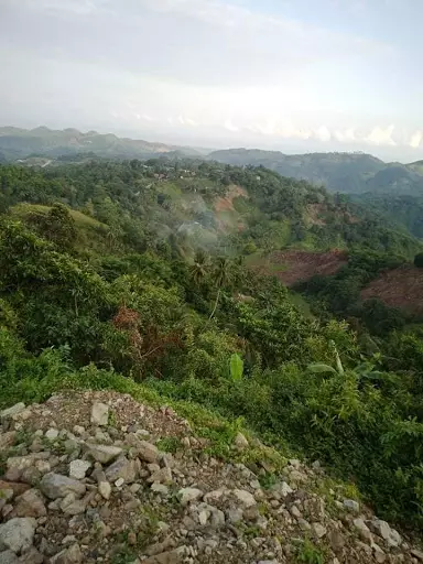 Agri / residential land for sale — Agricultural Lot in Cebu City, Cebu, Philippines — Photo 4