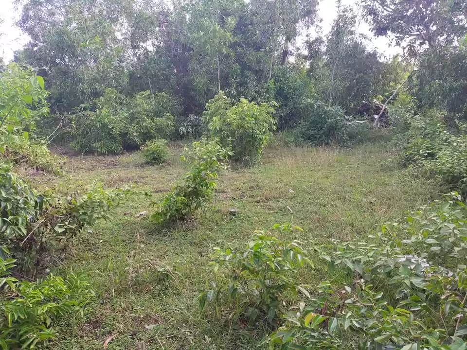 Beachfront 238sqm clean title lot for sale in Tabalong Dauis Panglao Island Bohol  17k per sqm - photo 5