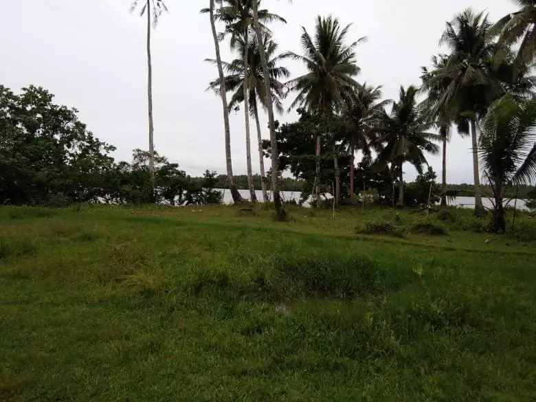 BEACHLOT FOR SALE in Siargao Island - photo 3