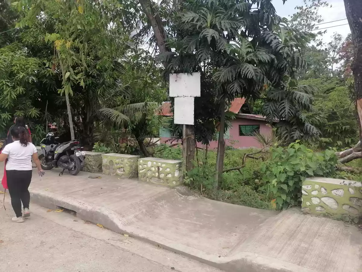 Commercial Lot for Sale - photo 4