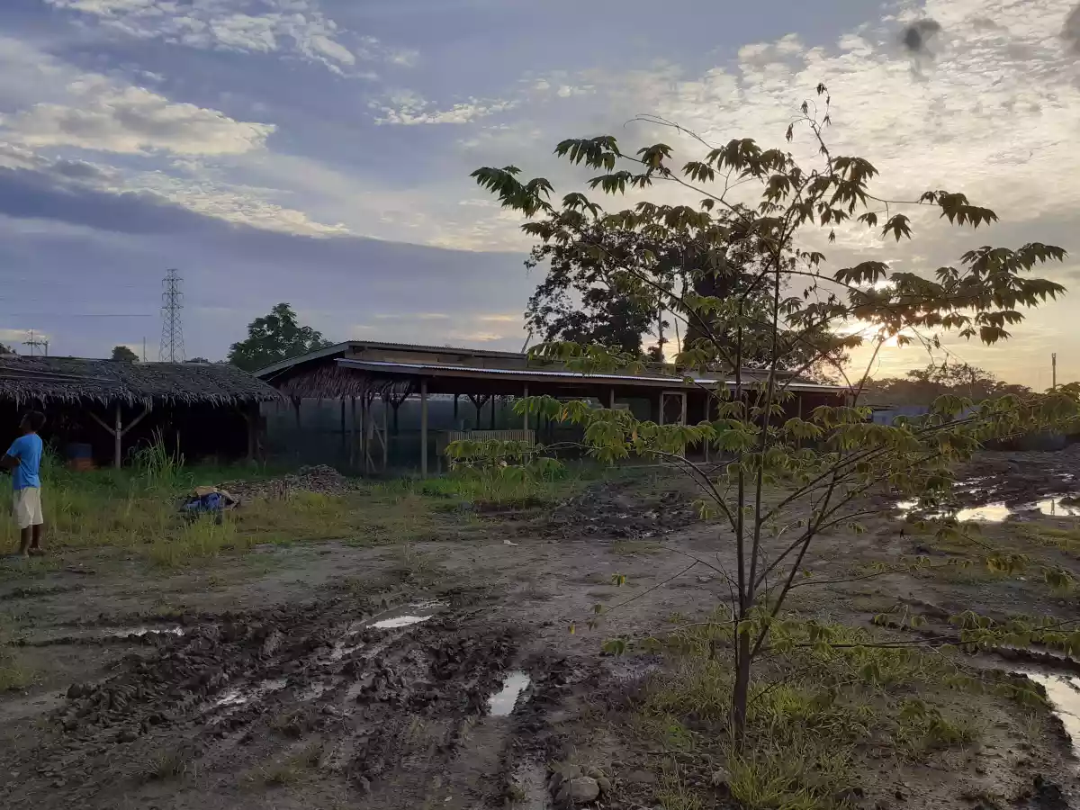 Open photo 13 of 21 — Commercial lot for sale 6000 sqm