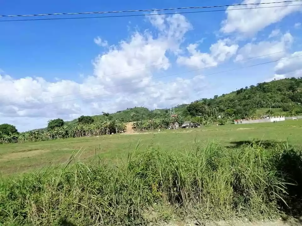 Rush Sale lot in Toledo City — Agricultural Lot in Toledo City, Cebu, Philippines — Photo 4
