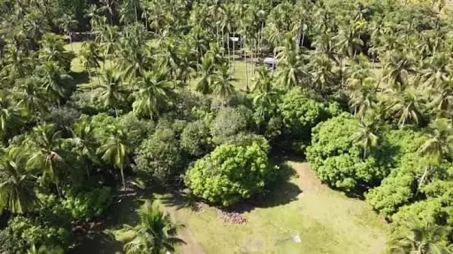 Lot For Sale at Samal — Agricultural Lot in Babak, Island Garden City of Samal, Davao del Norte — Photo 4