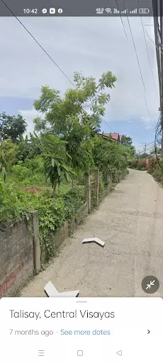 Lot for sale — Residential Lot in Minglanilla, Cebu, Philippines — Photo 5
