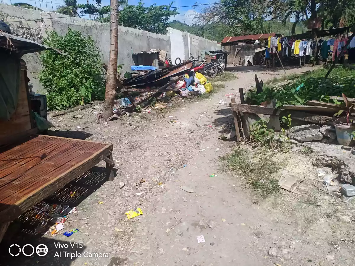 Residential Lot For Sale in Labangon - photo 6