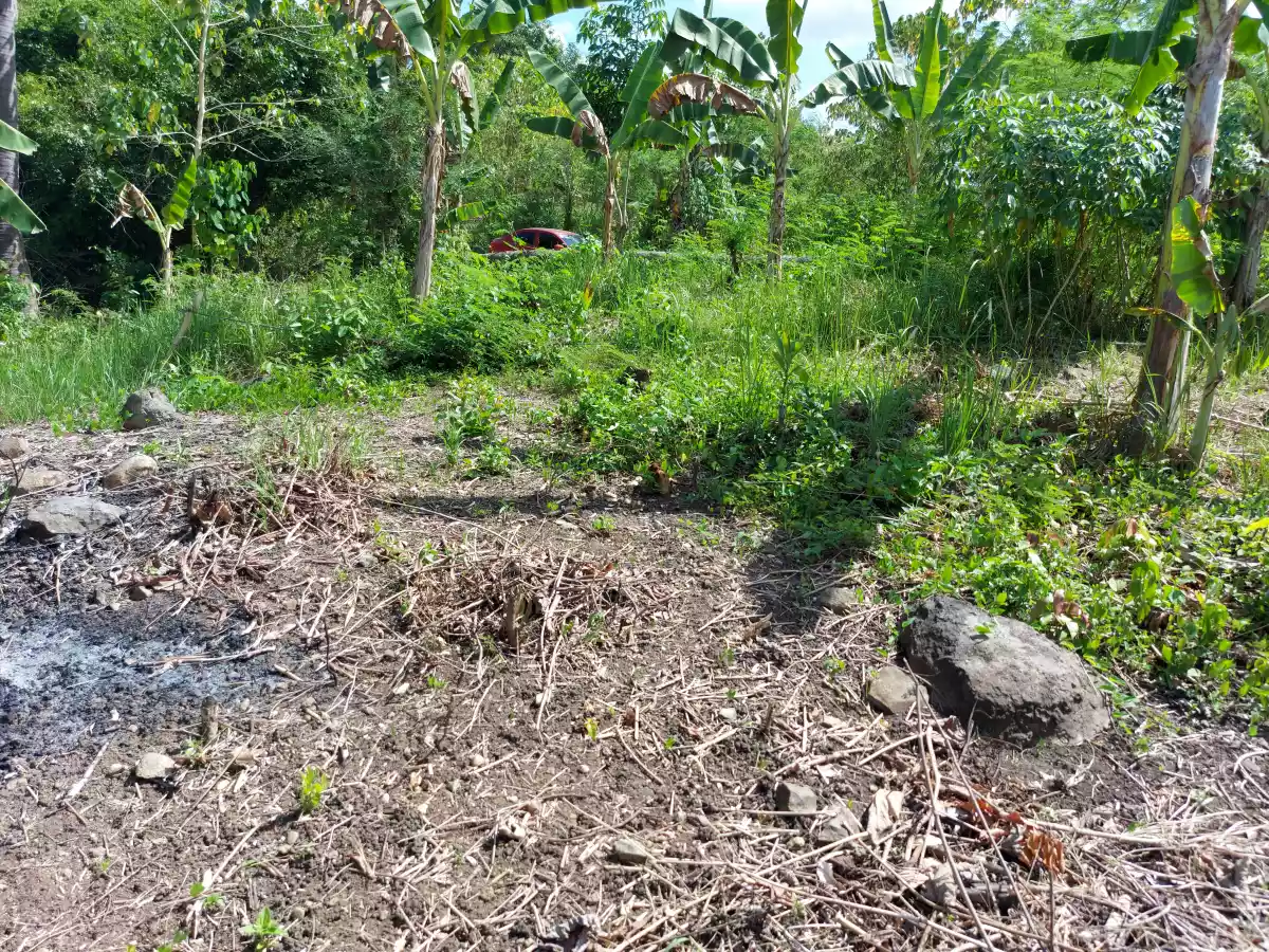 Lot for Sale in Pancil, Sibulan
