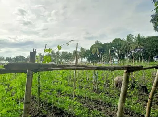 Lot for sale — Residential Lot in General Santos City, 9500 South Cotabato, Philippines — Photo 2