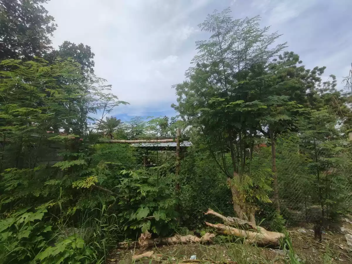 Residential Lot for sale — Residential Lot in General Santos City, South Cotabato, Philippines — Photo 4