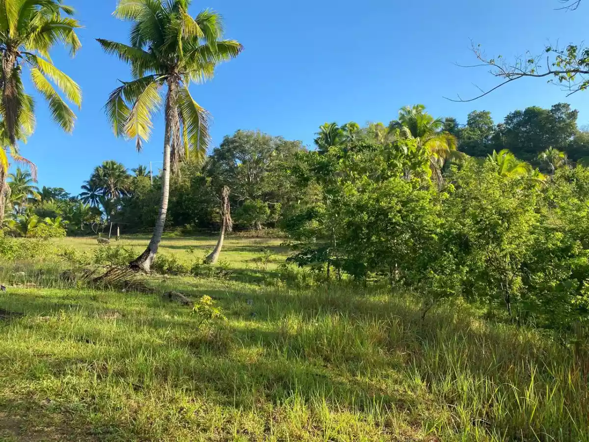 Open photo 26 of 27 — Over Looking LOT FOR SALE along Brgy Road Bayanga, Cagayan de Oro City