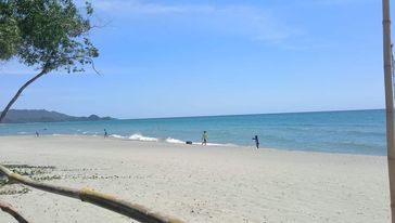 TITLED BEACH LOTIN SIPALAY — Beach Lot in Sipalay, Negros Occidental, Philippines — Photo 6