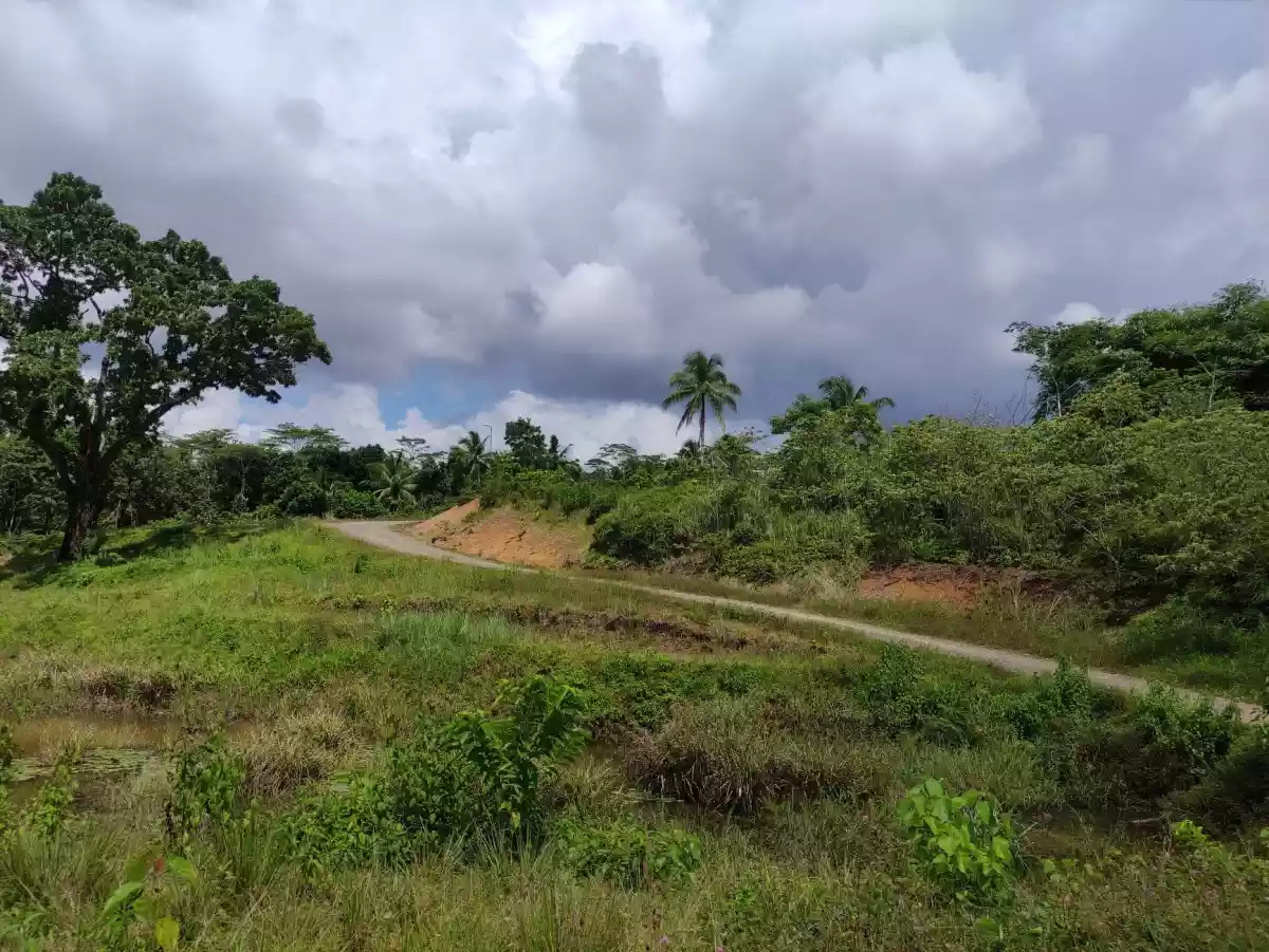Booming Uptown Luha, San Jose, Tandag City  (Lot Area For Sale)