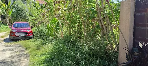 Lot for sale talamban — Residential Lot in Cebu City, Cebu, Philippines — Photo 2