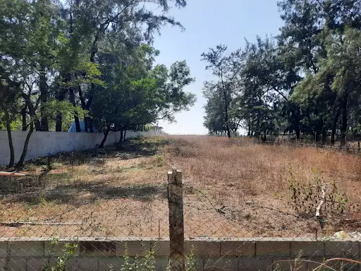 Botolan Zambales, Prime beachlot — Beach Lot in Cabuyao, 4025 Laguna, Philippines — Photo 7
