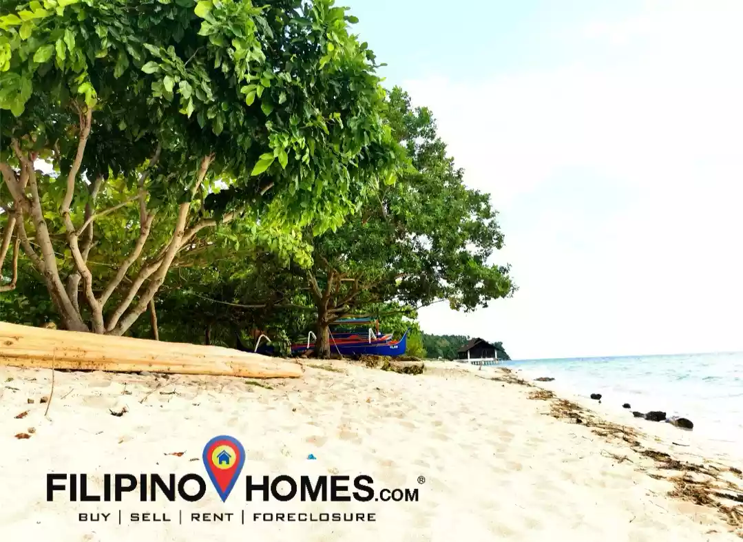 Open photo 18 of 25 — 3 Hectares Whitesand Beach Property 