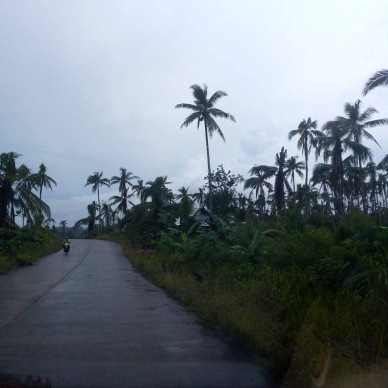 LOT FOR SALE IN CANCOHOY, DEL CARMEN, SIARGAO ISLANDS — Agricultural Lot in Surigao del Norte, Philippines — Photo 4