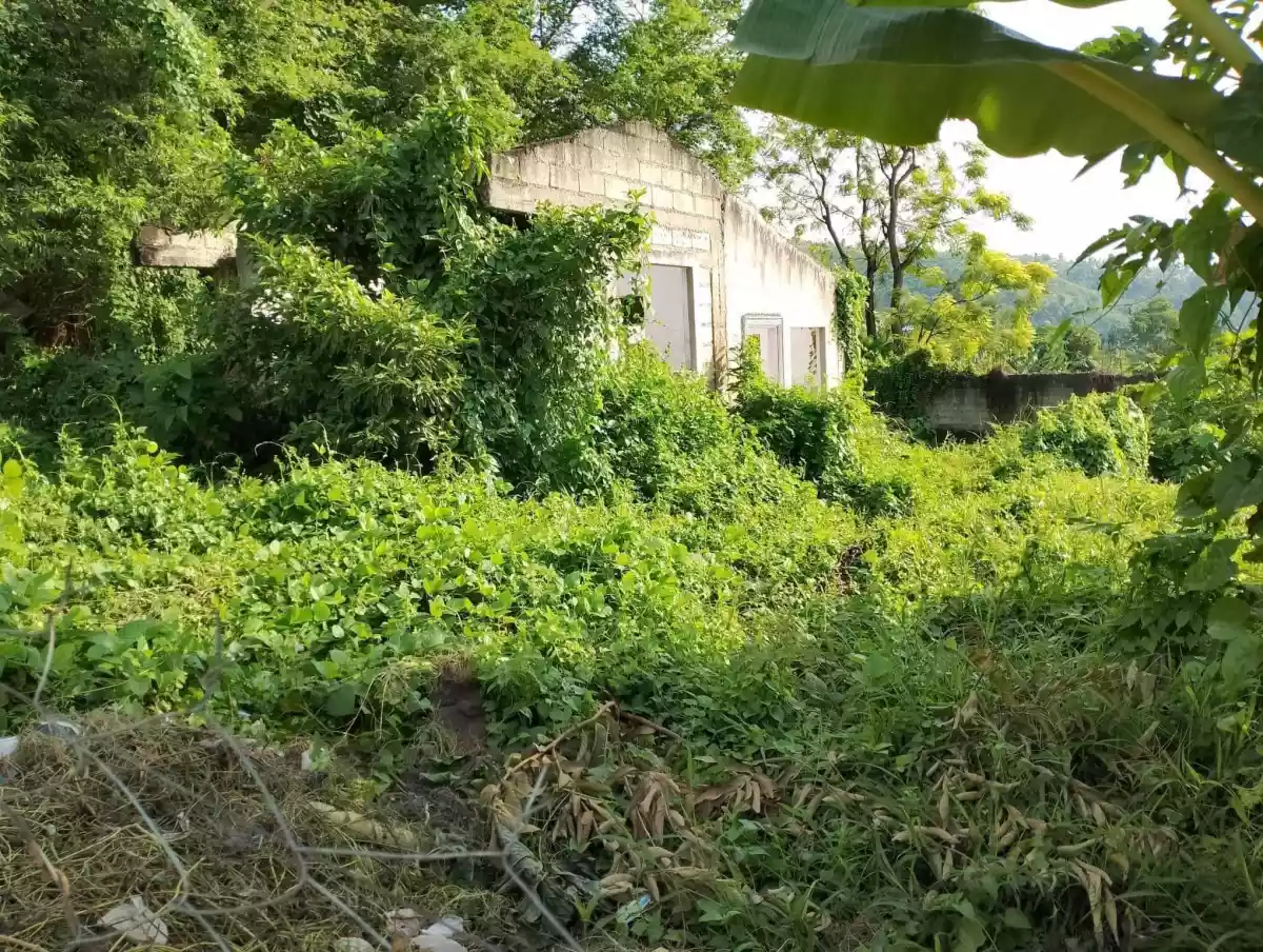 Residential land - photo 3