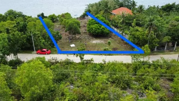 Lot for Sale - photo 3