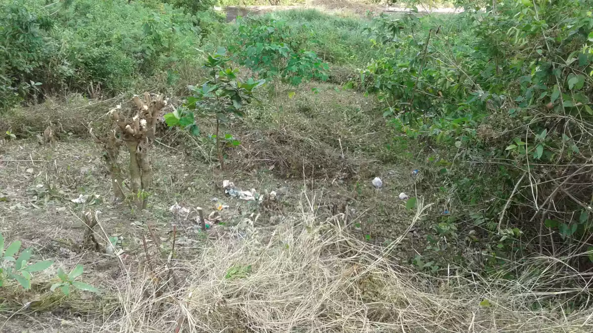 Residential Lot for sale in Talamban cebu city - photo 7
