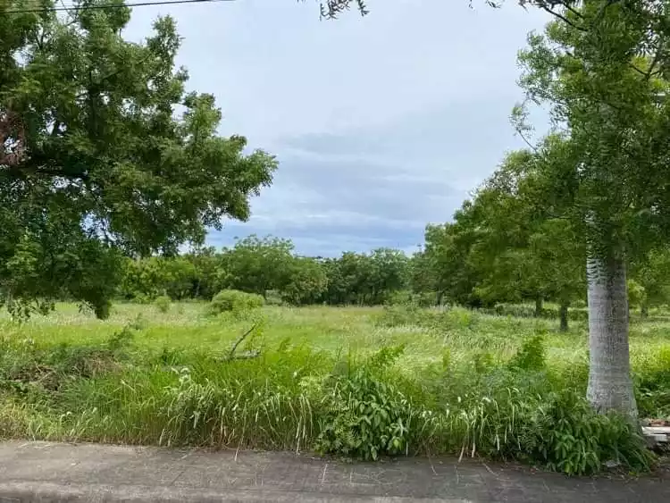 Vista Mar Lot For Sale  - photo 5
