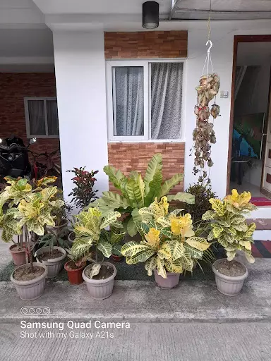 Open photo 14 of 23 — ????? ???? HOUSE AND LOT ??? ??????!
???? ?? ?? ??? 350? ????!