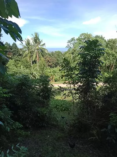 Open photo 14 of 16 — A Parcel of Land