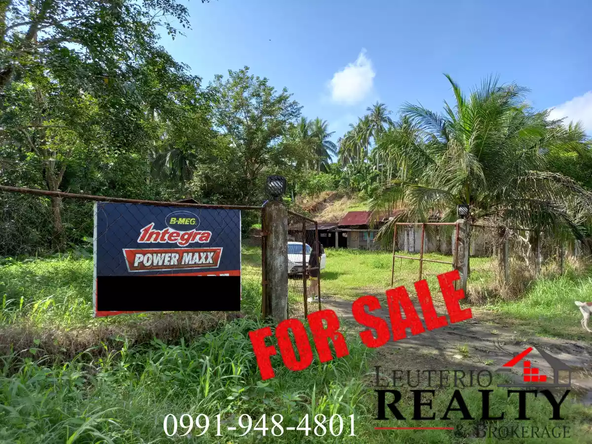 20,000 SQ.M. (Agricultural/Residential/Industrial) LOT — Agricultural Lot in Camarines Sur, Philippines — Photo 6