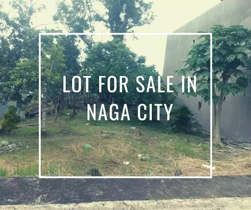 Open photo 20 of 27 — Rush Lot For Sale