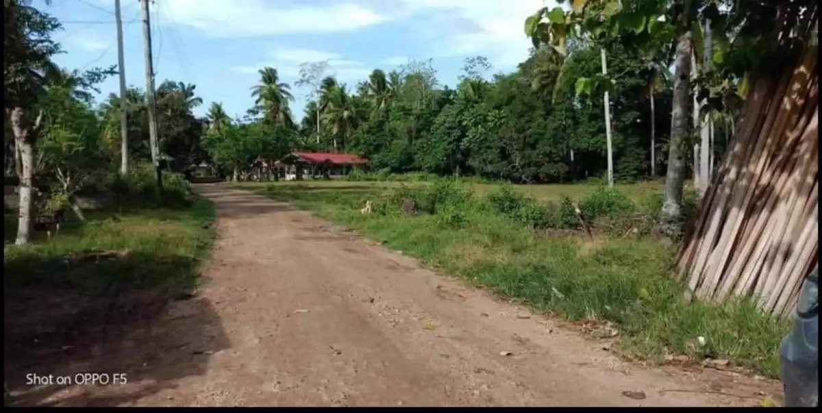 Commercial/ Corner Lot — Commercial Lot in Babak, Island Garden City of Samal, Davao del Norte — Photo 4
