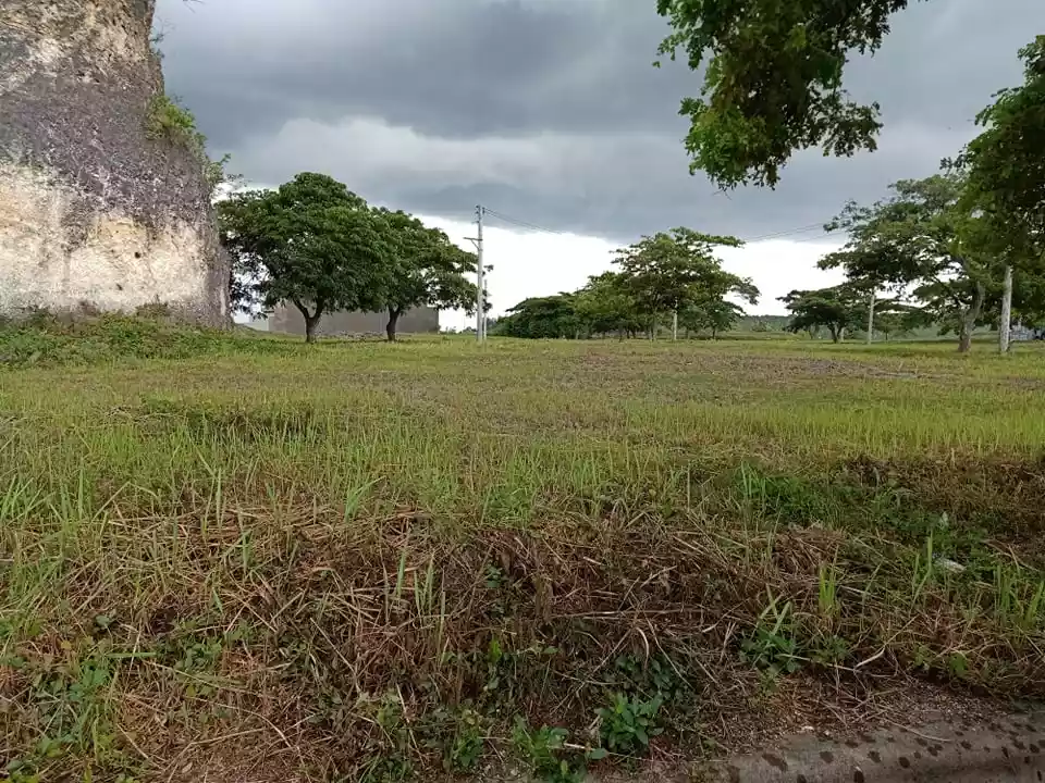 LOT near the Park at Aspen Heights, Consolacion, Cebu - photo 5