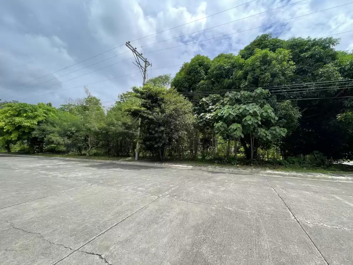 Open photo 14 of 19 — Las Terrazas Lot for Sale