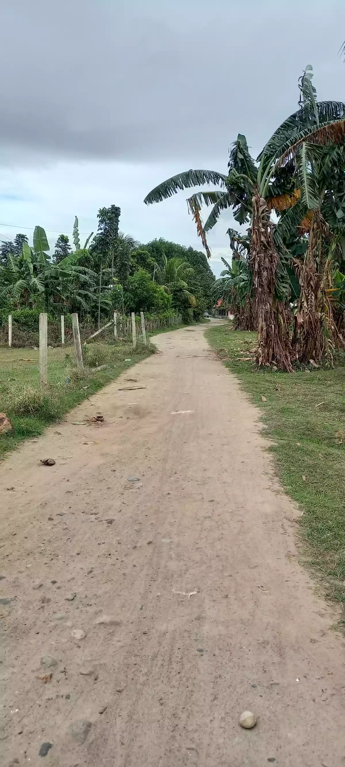 Afforable Lot for Sale in Batinguel Dumaguete City - photo 2