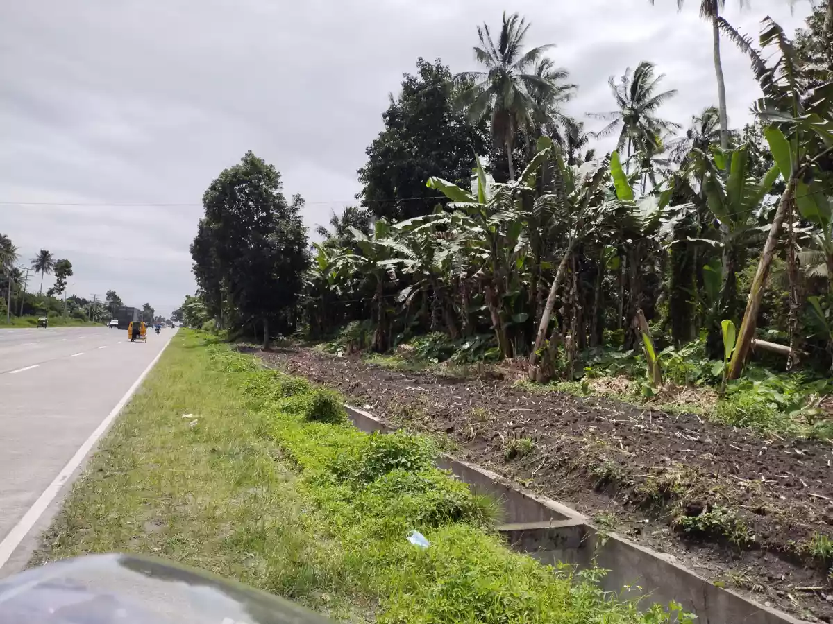 Along national highway polomolok — Commercial Lot in Polomolok, South Cotabato, Philippines — Photo 4