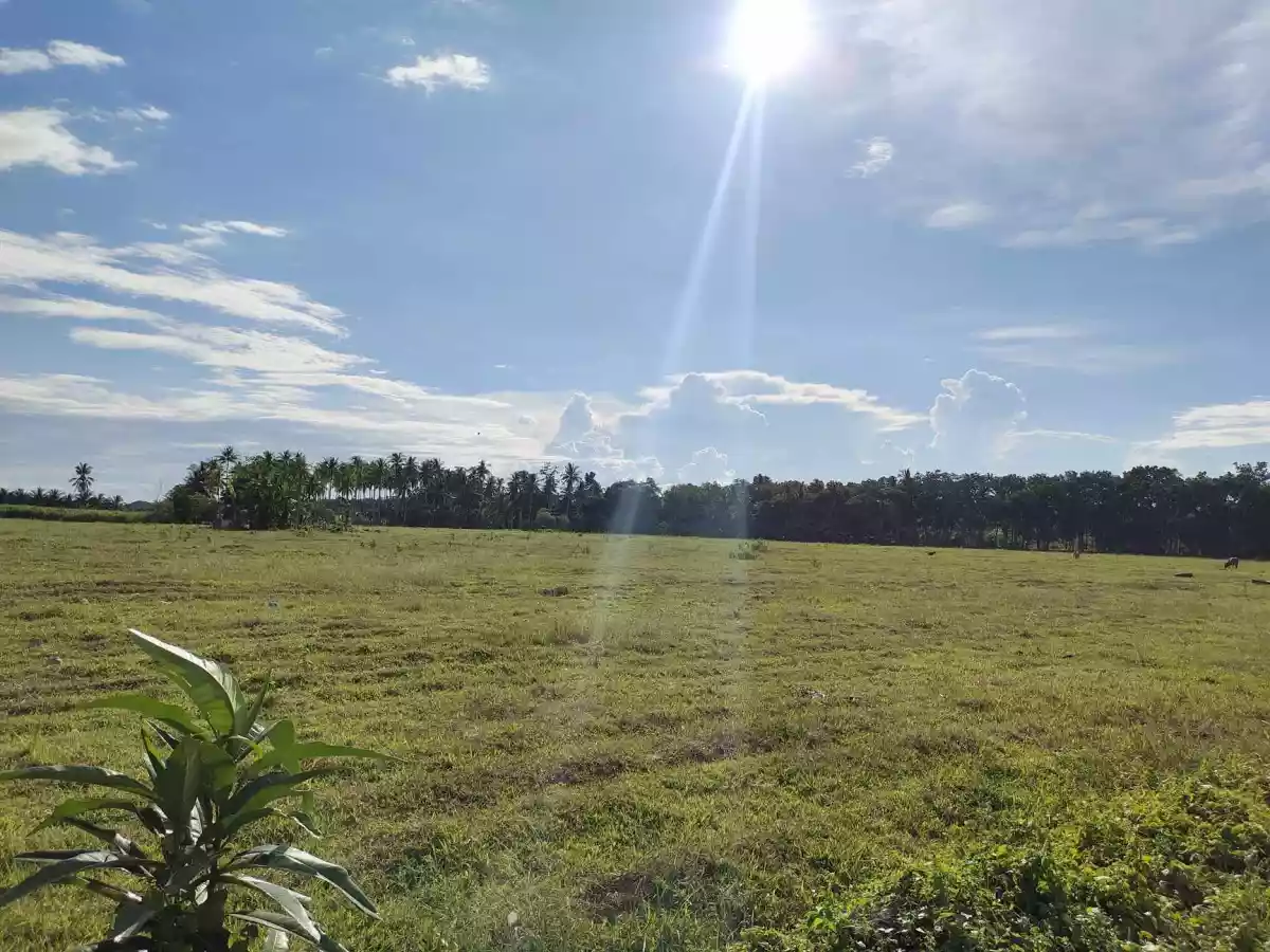 Lot for Sale in Tuburan, Cebu — Commercial Lot in Poblacion, Tuburan, Cebu — Photo 4