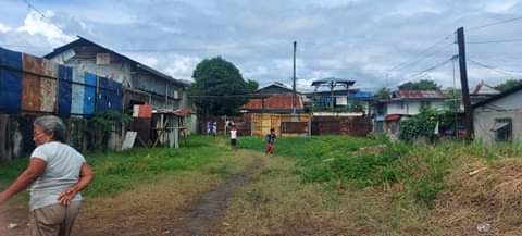 Lot for Sale Ideal for Warehouse or Factory — Commercial Lot in Cebu, Philippines — Photo 2