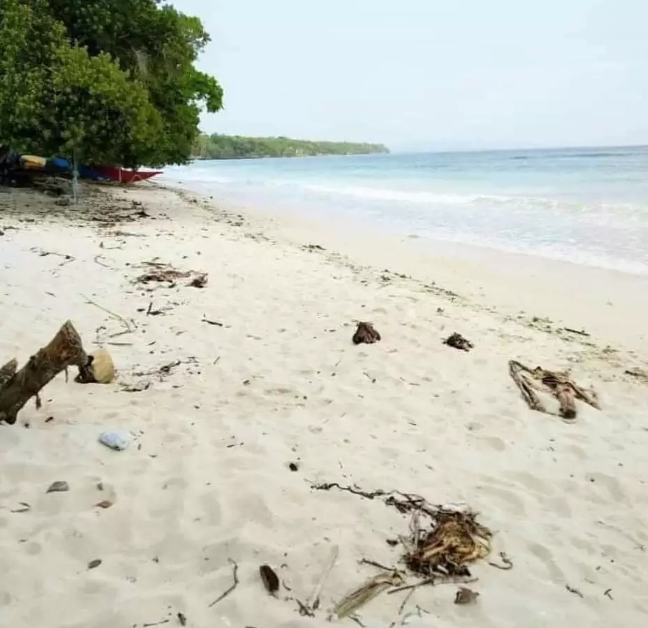Beach Lot in Panglao Bohol — Beach Lot in Biking, Dauis, Bohol — Photo 5