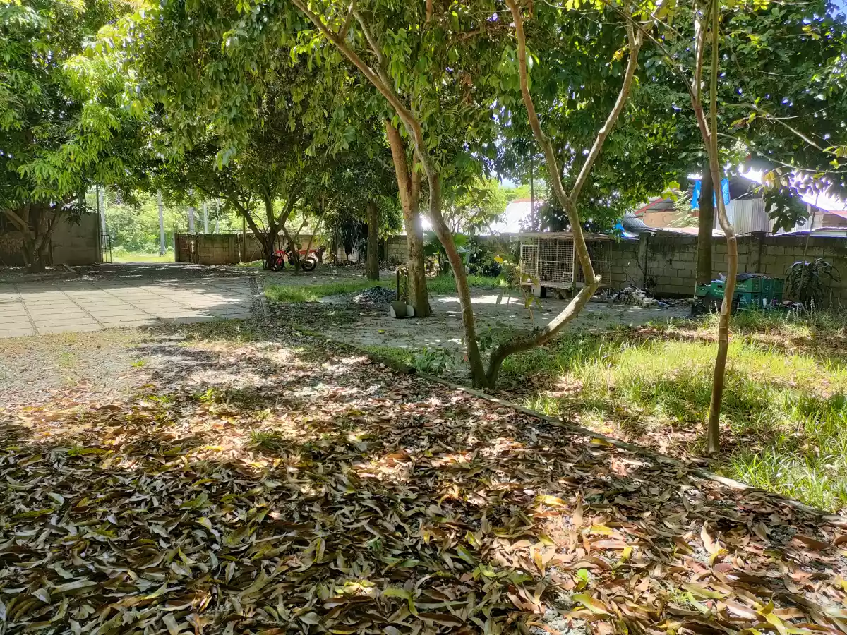 Lot for Sale with Bachelors Pad in Talay Dumaguete City — Residential Lot in Dumaguete, Negros Oriental, Philippines — Photo 7