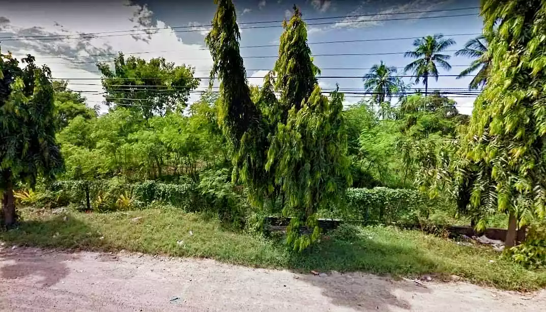 commercial lot - photo 3