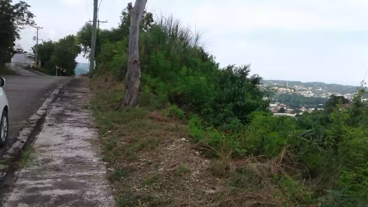 Residential Lot for sale in Talamban cebu city - photo 3